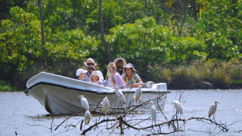 Bird Watching in Negombo (Muthurajawella)