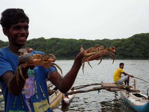 Negombo Countryside Cycle Tour