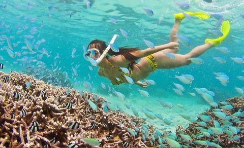 Scuba Diving and Snorkelling in Pigeon Island