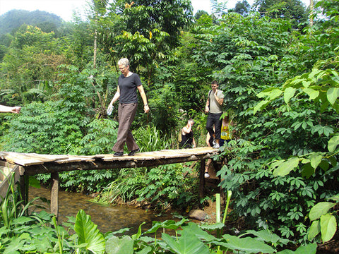 Bird Watching Tour in Kithulgala