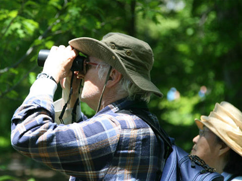 Bird Watching Tour in Kithulgala