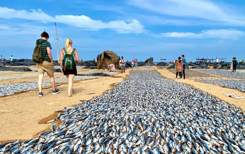 Cycling in Negombo Fishing Village