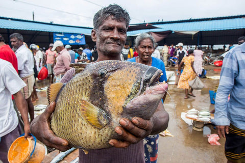 Cycling in Negombo Fishing Village