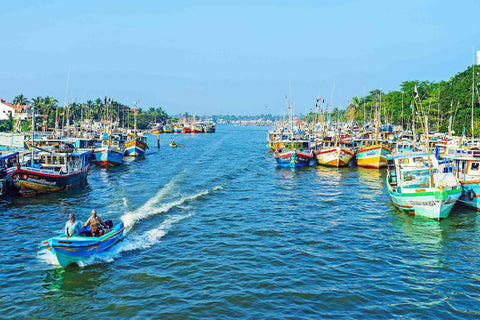 Cycling in Negombo Fishing Village