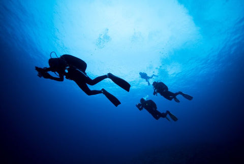 Diving in Colombo