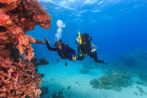 Diving in Colombo