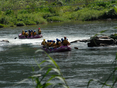 Flat Water Rafting in Kelani River in Kitulagala