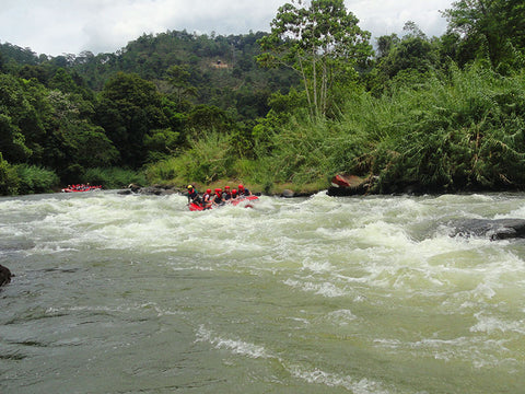 White Water Rafting in Kitulgala