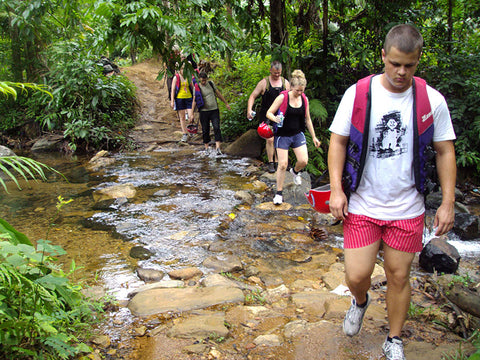 Rain Forest Trekking in Kitulgala Forest Reserve