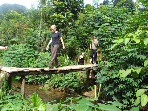 Rain Forest Trekking in Kitulgala Forest Reserve