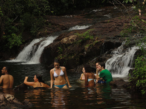 Rain Forest Trekking in Kitulgala Forest Reserve