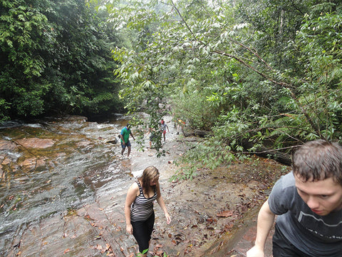 Waterfall Trekking Kitulgala