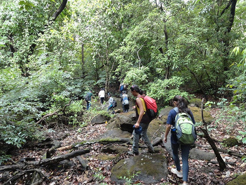 Waterfall Trekking Kitulgala